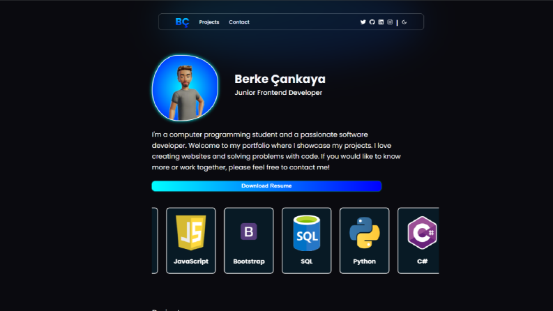 Portfolio Sitem