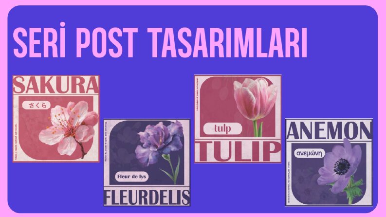 Sosyal Medya Post Tasarımları