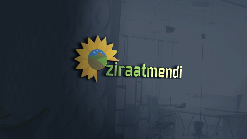 Logo Çalışmalarım