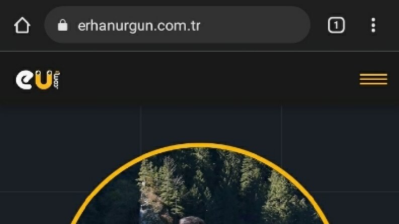Website Geliştirme veya Yenileme