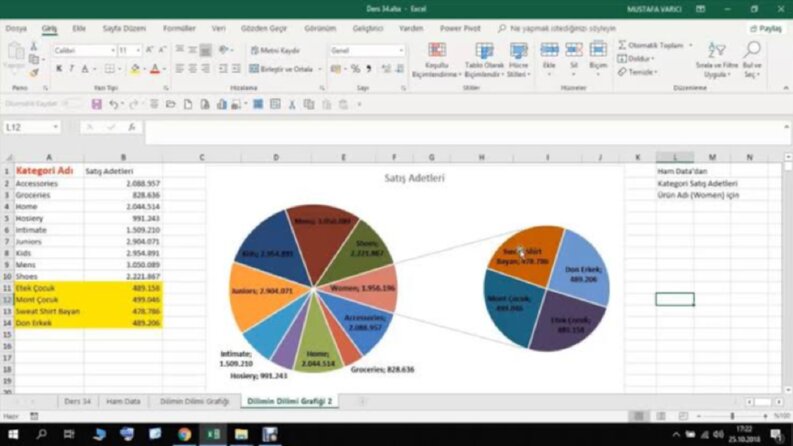 excel veri girişi