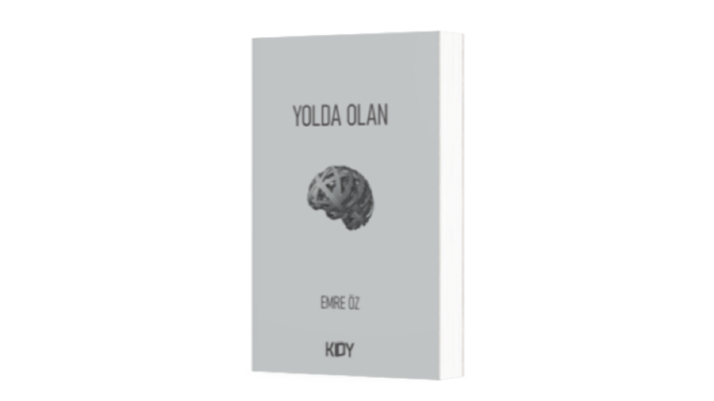 Roman Projesi İçin Editörlük Hizmeti