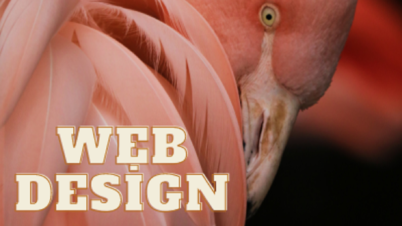 Web site tasarımı