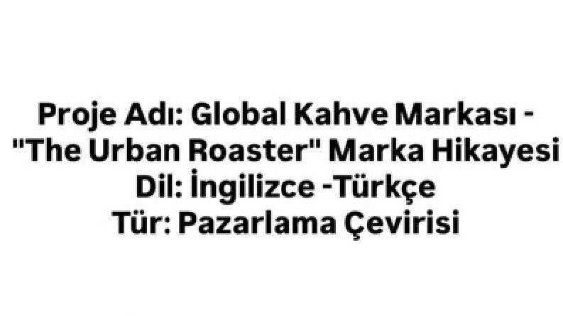 Profesyonel Dil Çözümleri
