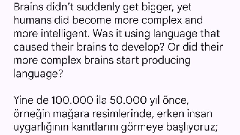 Online Çeviri 