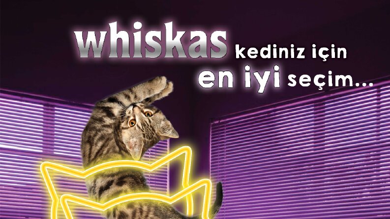 Whiskas- Reklam afişi Tasarımı (Banner)