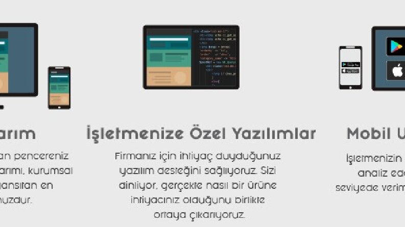 Özel Web Yazılımları