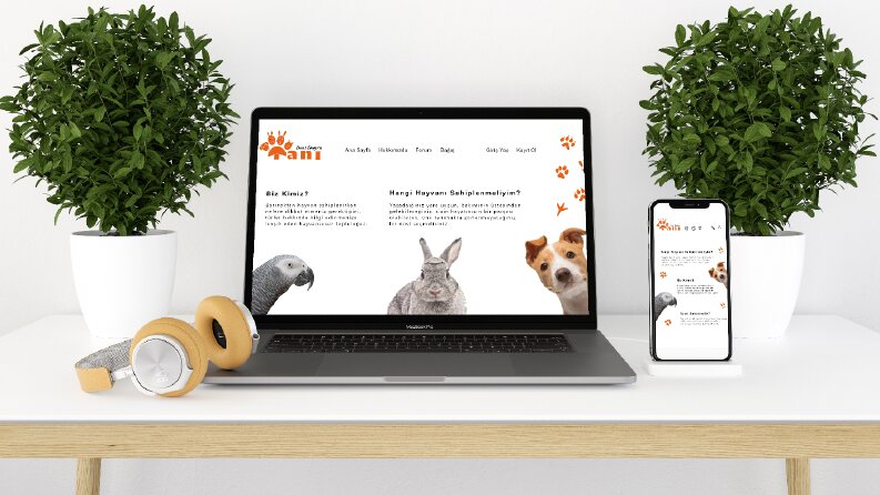Web ve Mobil Uygulama Tasarımı