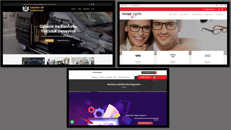 Profesyonel web sitesi tasarımları 