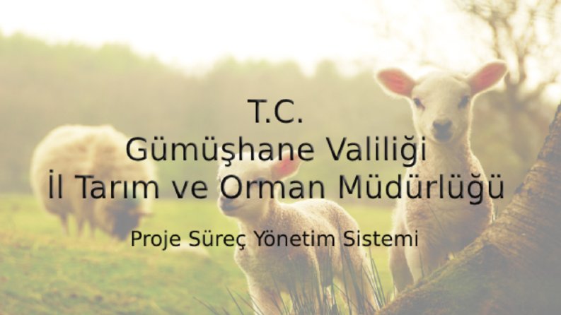 TC Gümüşhane Tarım ve Orman Müdürüğü Proje Süreçleri