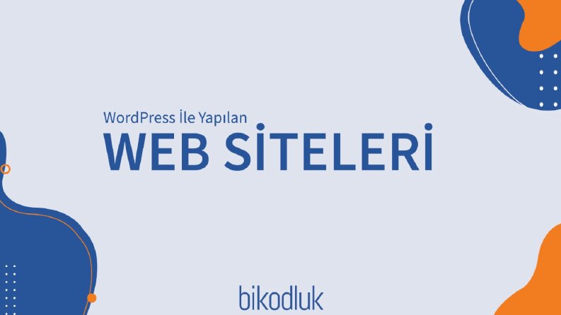 Web sitesi