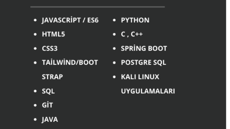 Full-Stack Developer