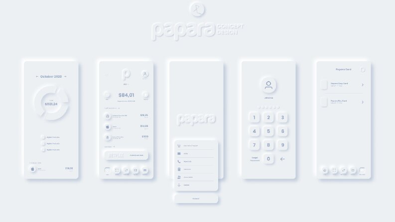 Papara Concept Tasarımı