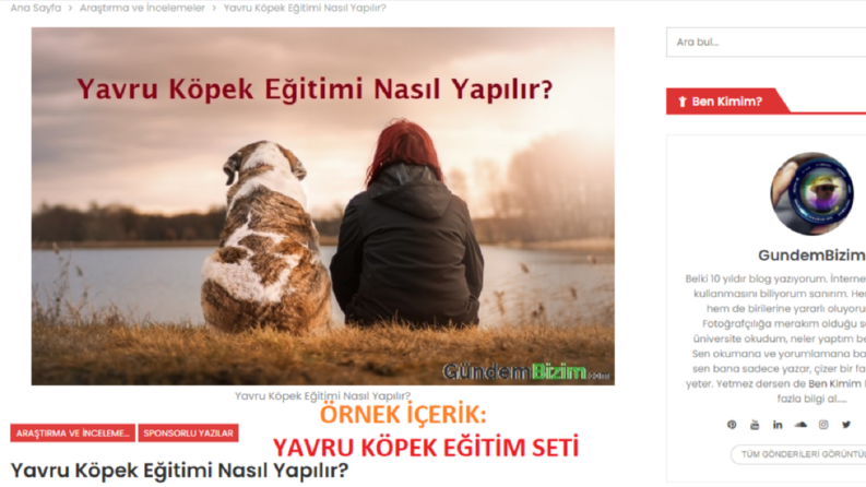GundemBizim.com Köpek Eğitim Seti İçerik Pazarlama Örneği
