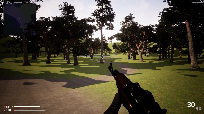 First Person Shooter