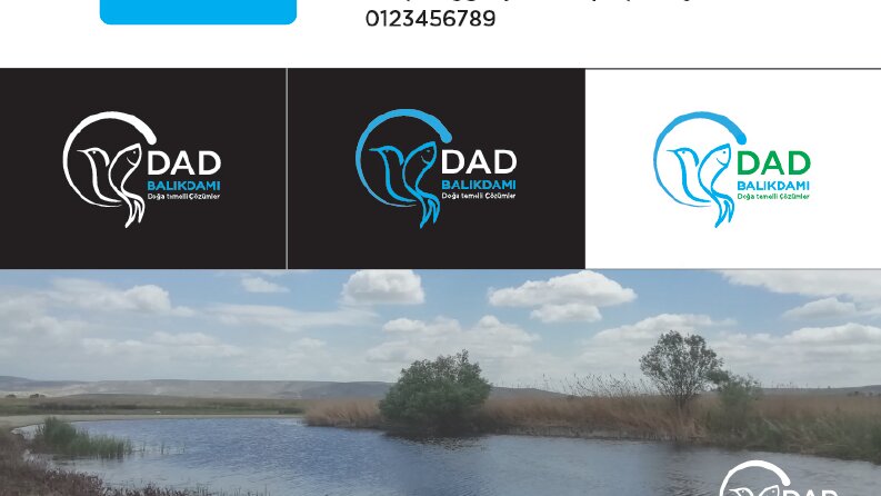 Balıkdamı Projesi İçin Özgün ve Yaratıcı Logo Tasarımı