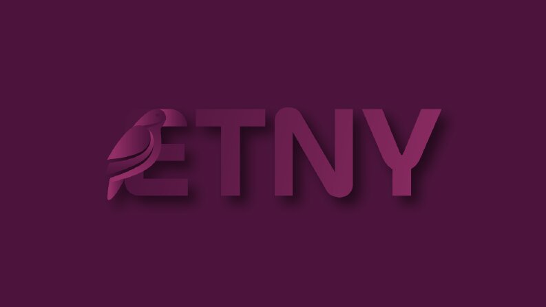 ETNY - Etnik Gıda Tedarik Web Sitesi Logo Tasarımı B2B