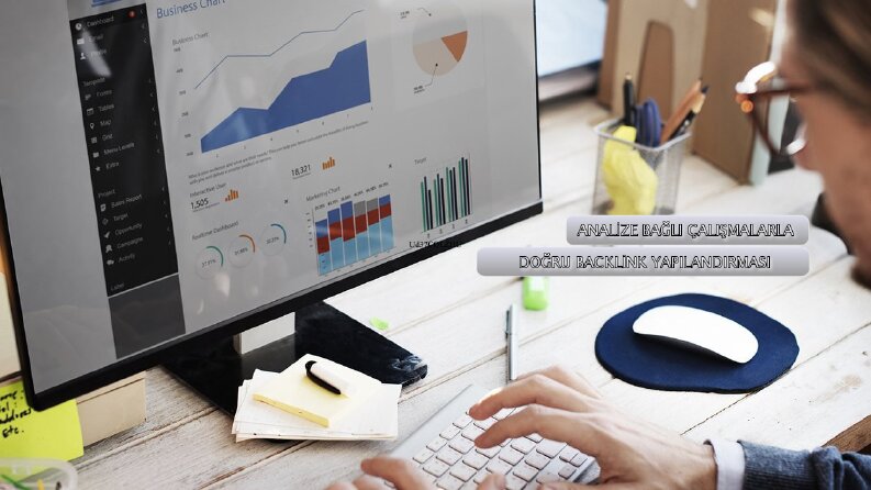 profesyonel backlink