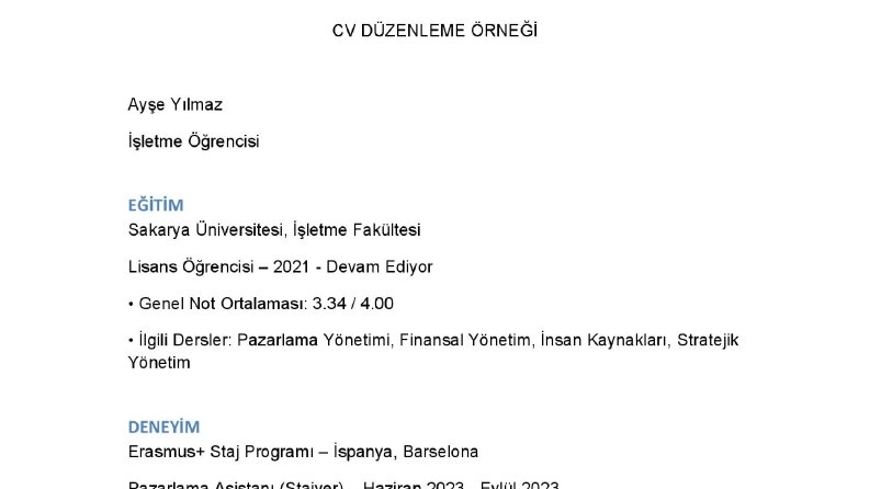 CV Düzenleme