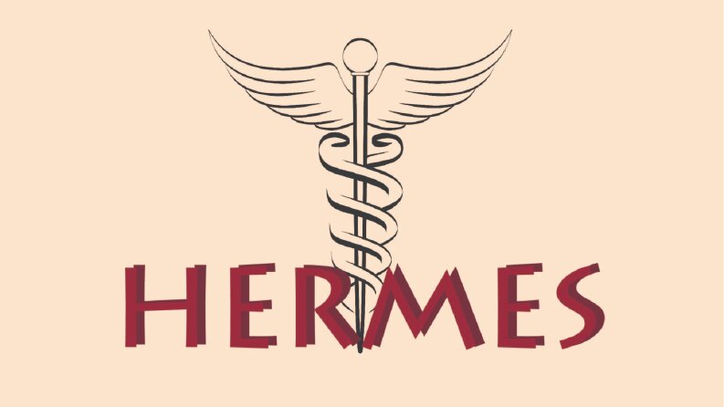 HERMES - AYAKKABI