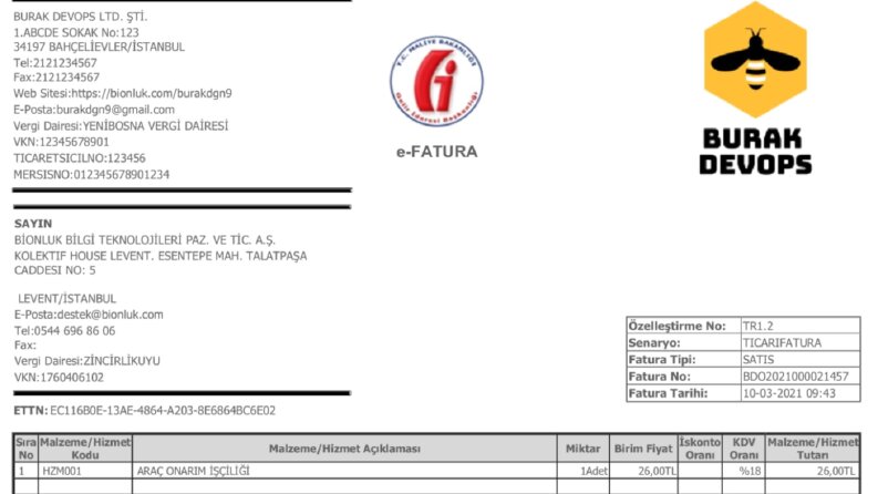 e-Fatura, e-Arşiv ve e-İrsaliye Tasarımları Yapabilirim