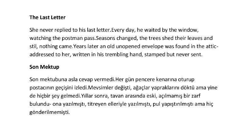 Kısa Hikaye Çevirisi