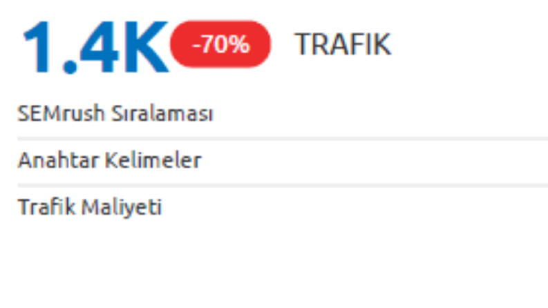 SEO Portfolyo