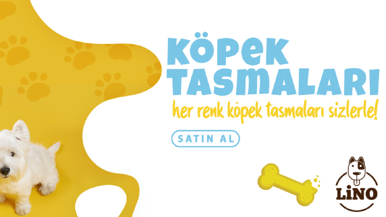 Lino Pet - Banner Çalışmaları