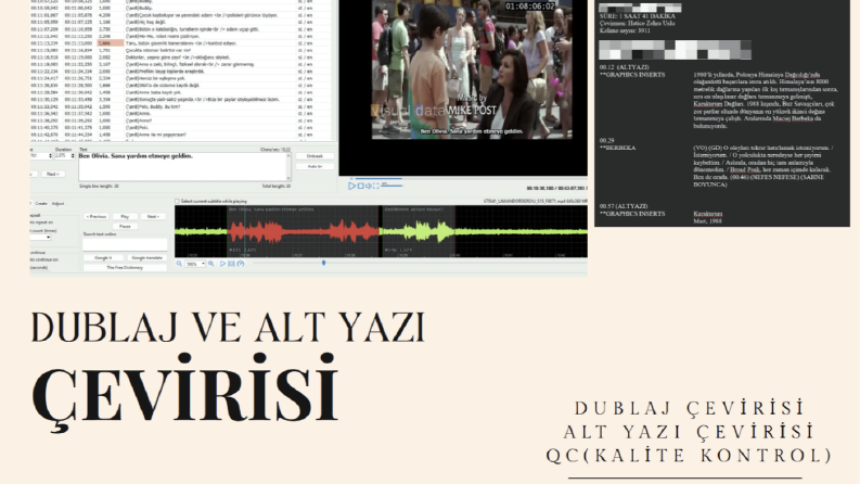 TV ve Dijital Platformlar için Alt yazı ve Dublaj Çevirisi