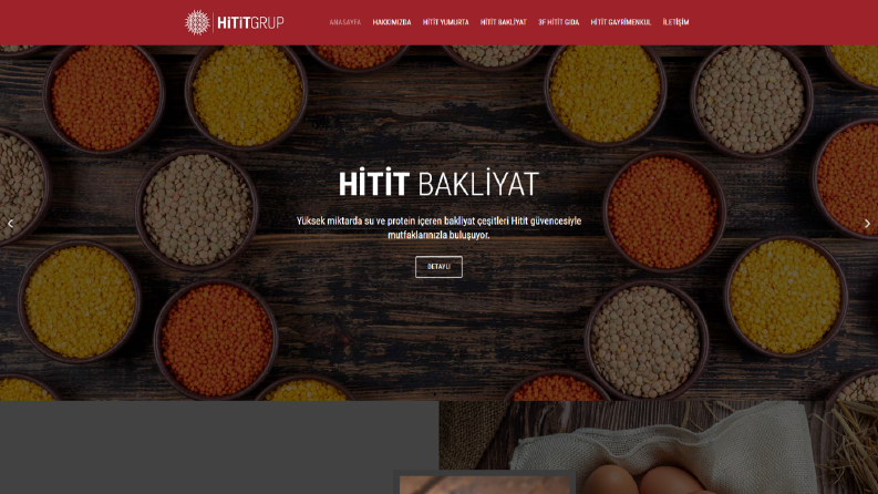 hititgida.com.tr Özel tasarım web sitesi (Wordpress)