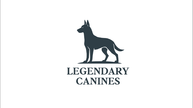 Logo mu Dediniz? Hemen Gelirim