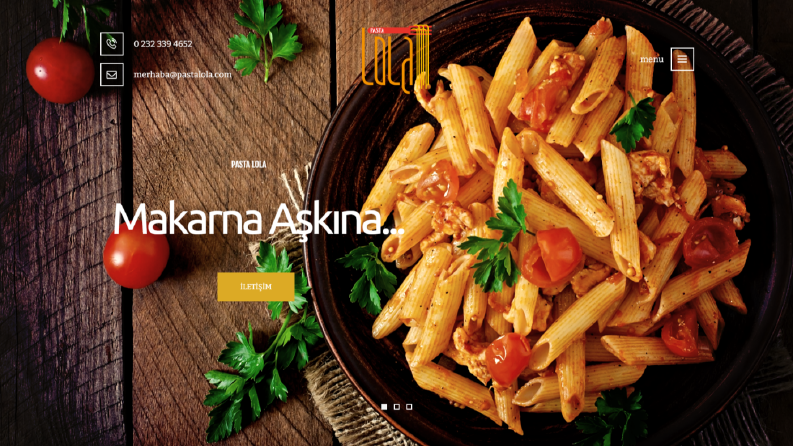 Web Sitesi Tasarımı