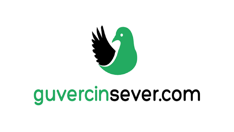 Guvercinsever.com - SEO Çalışması