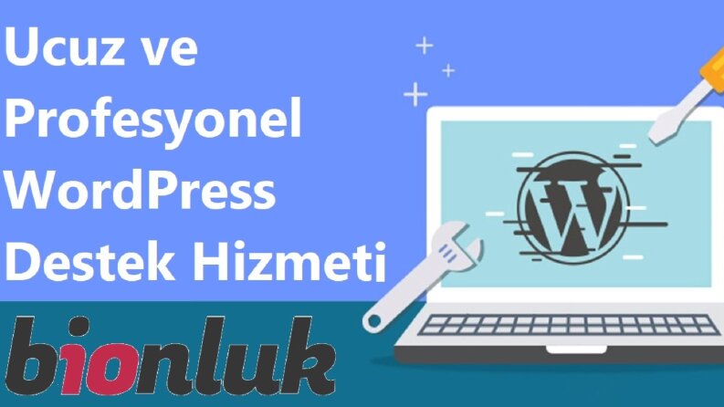 WordPress Destek Hizmeti