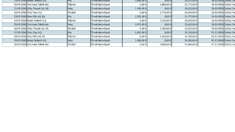 Excel ile Cari Hesap, Borç-Alacak ve Tahsilat Takibi