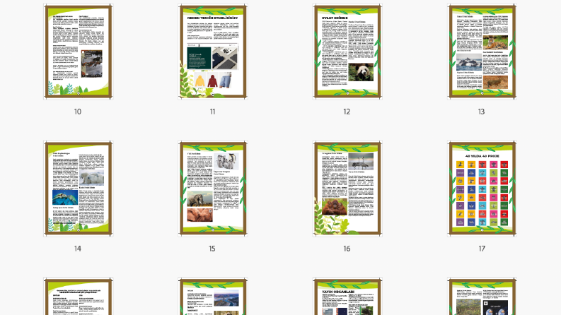 Broşür ve Katalog Çalışmaları