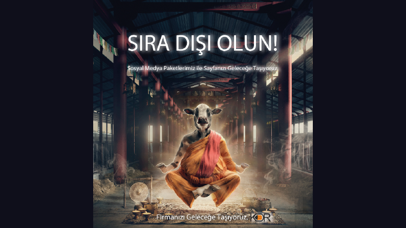 Sosyal Medya Post Desteği