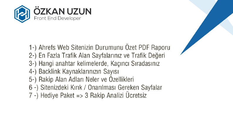 SEO ANALİZ