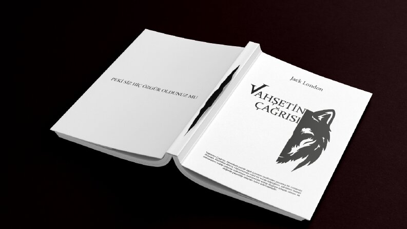 Kitap Kapağı tasarımları