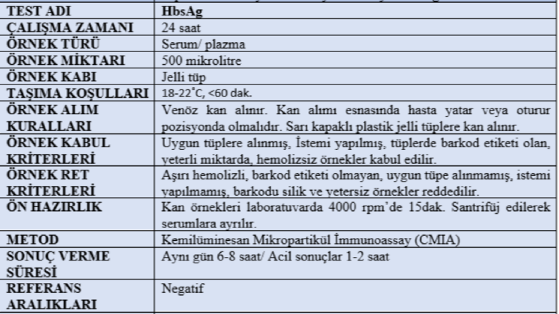 HbsAg nedir