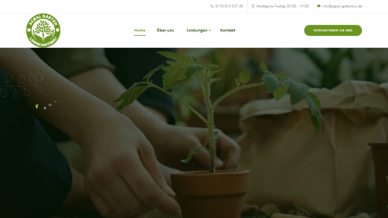 Web Site