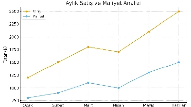 Veri Analizi ve Raporlama Çözümleri