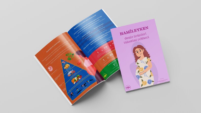 Broşür tasarımı örnekleri