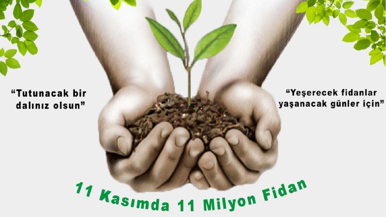 Fidan Dikimi Sosyal Medya Görseli