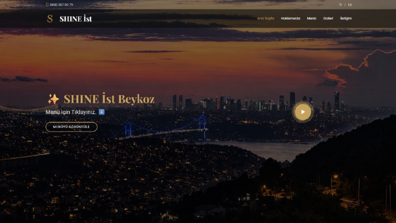Shine İst Web Sitesi Kurulumu