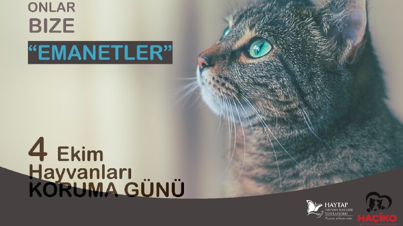 4 EKİM
