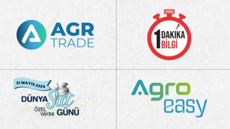 Logo Tasarımları