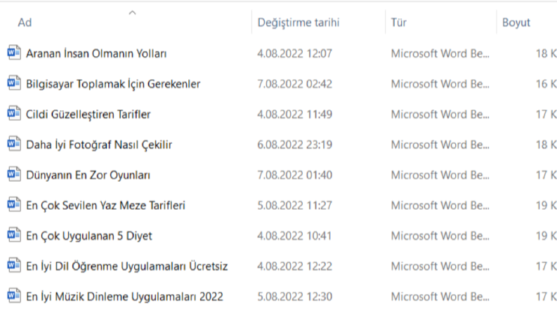Örnekler