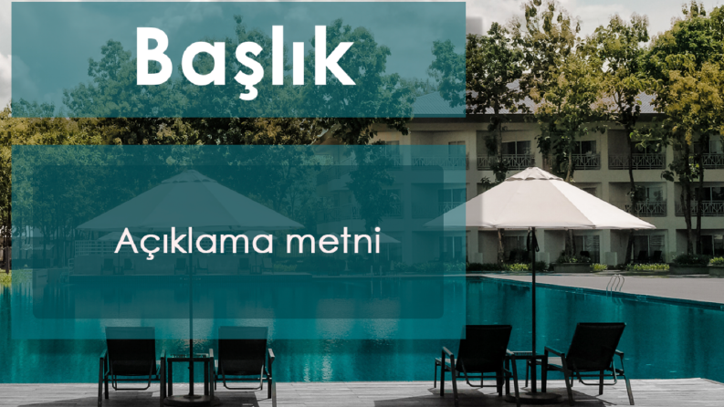 Örnek Çalışmalar
