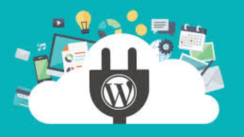 Wordpress Uzmanı